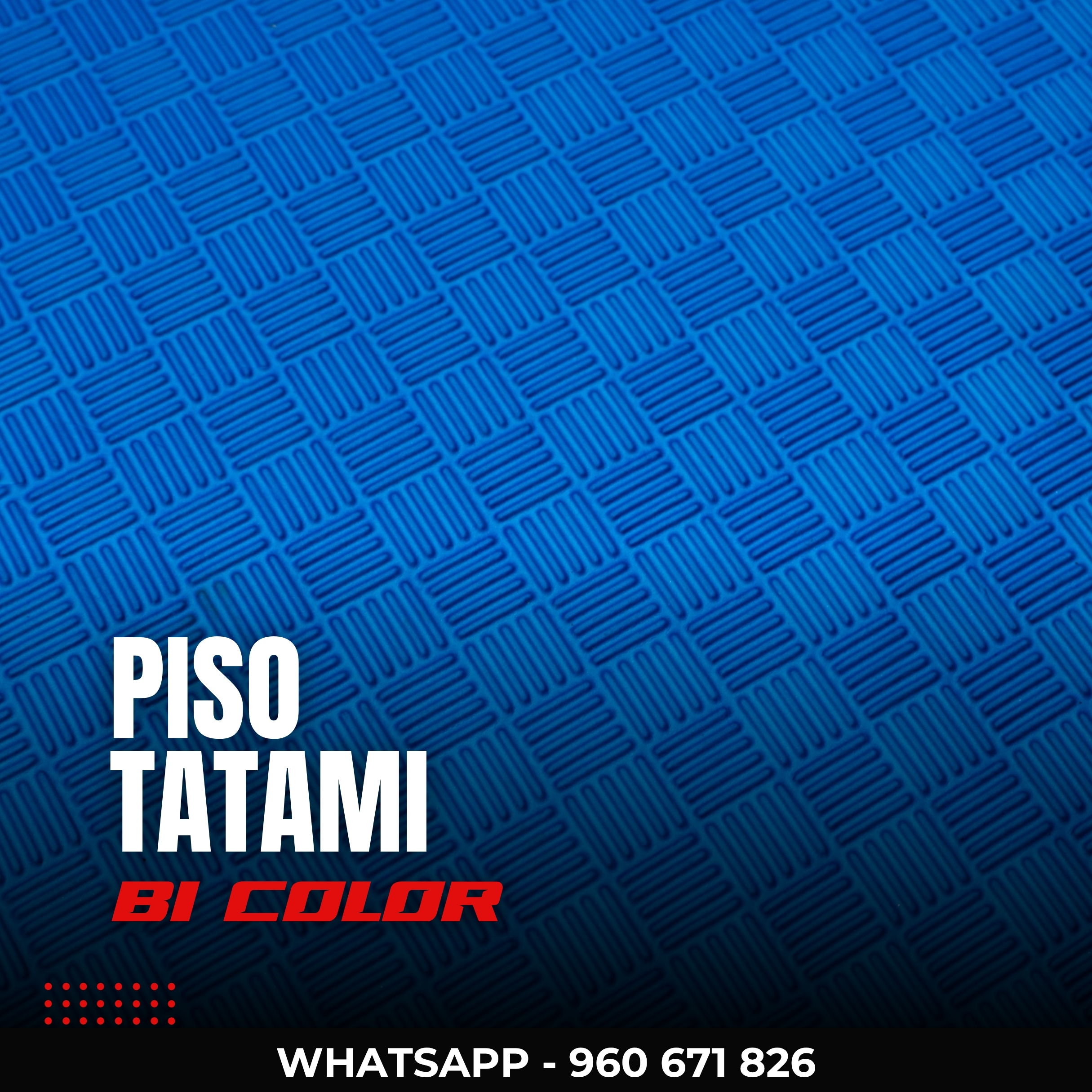 Piso Tatami EVA Rojo/Azul 2.5cm para Artes Marciales